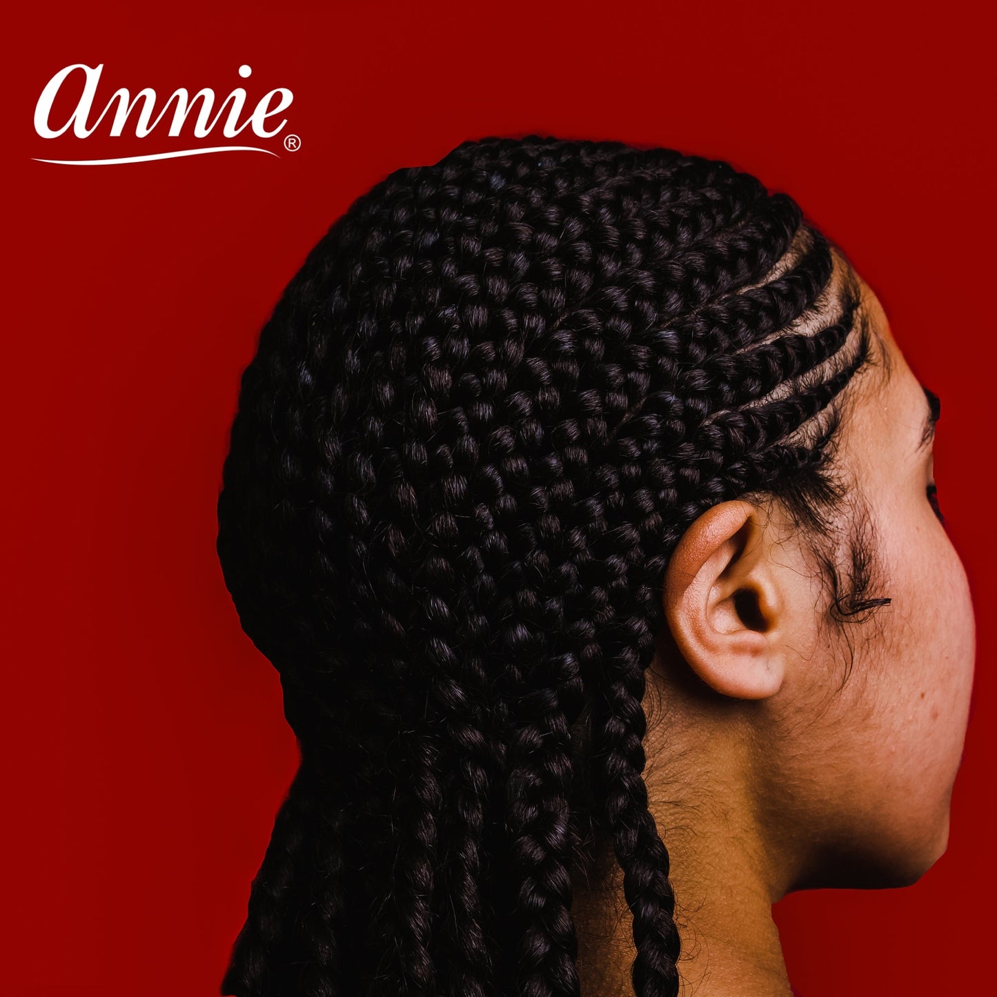 Annie Rubber Bands 14mm, 1000 Count Elastic Hair Ties, Black
